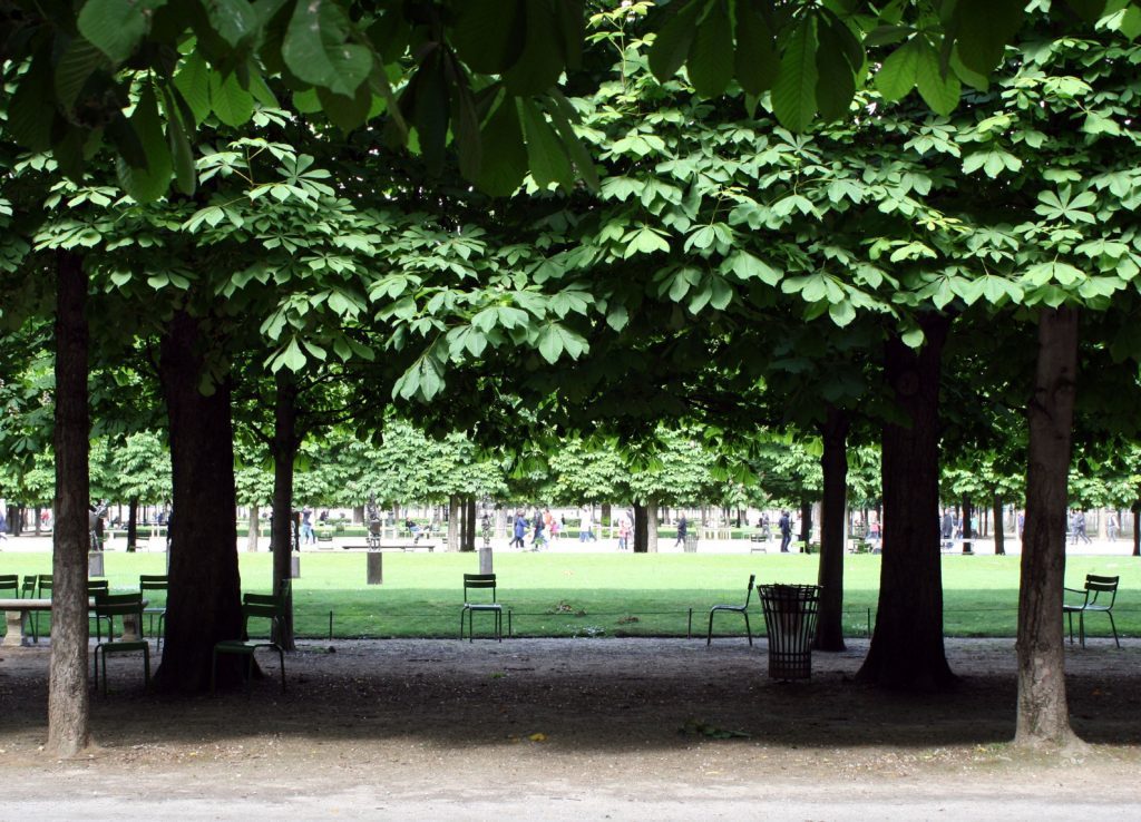 Photo of the Tuileries gardens. 
