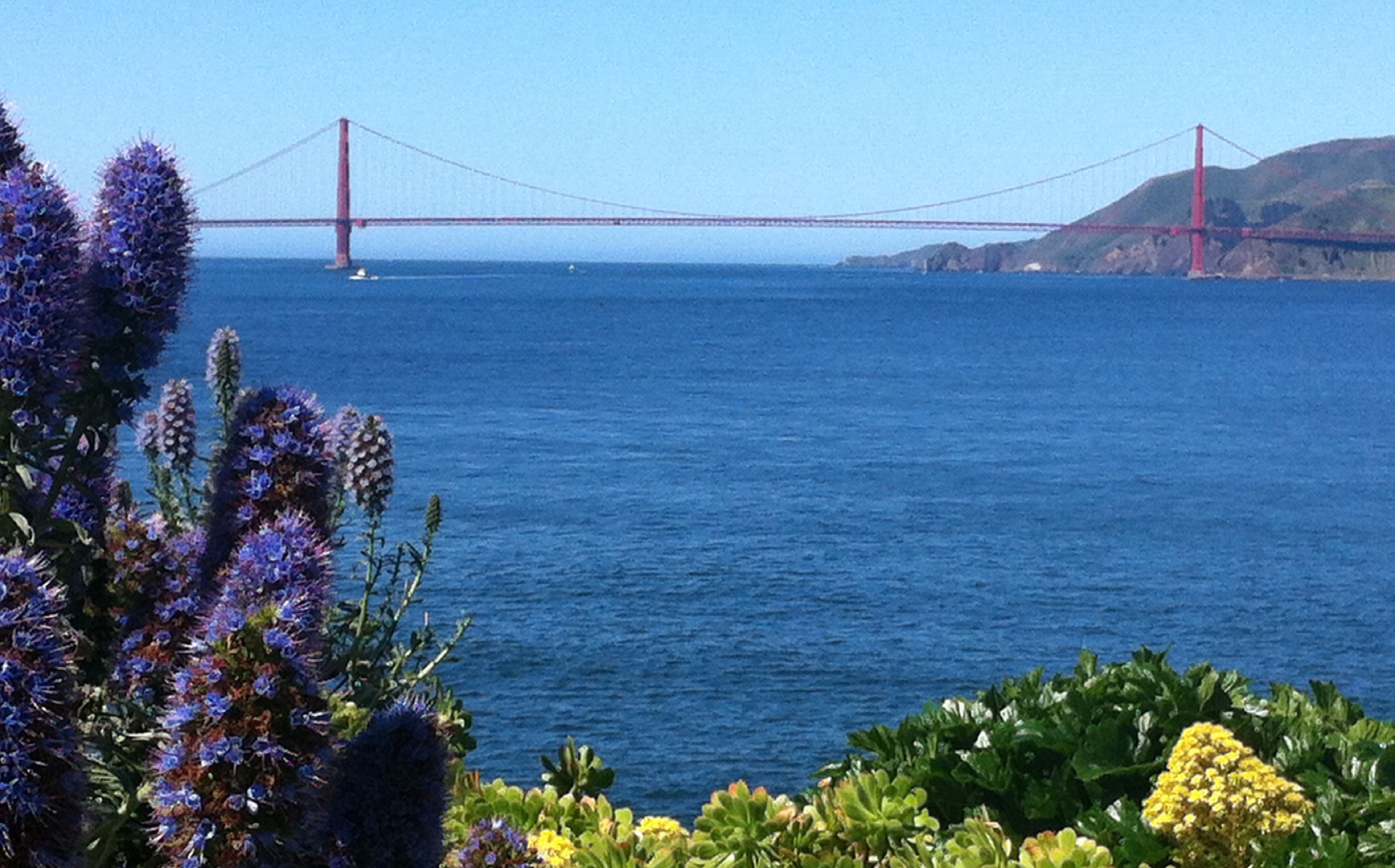 The Golden Gate Bridge taken from the gardens on Alcatraz Island.