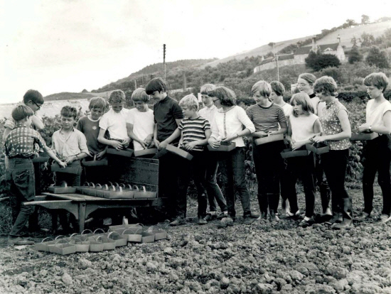 Collecting their punnets ready to start picking raspberries in August 1970.