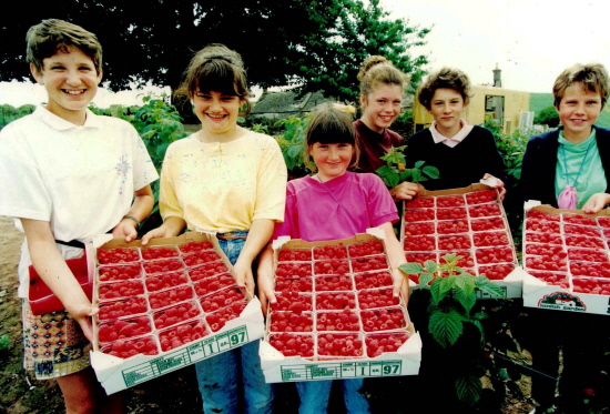 These raspberry pickers show off their great haul at Morrison's Farm, Slatefield in Forfar in July 1991.