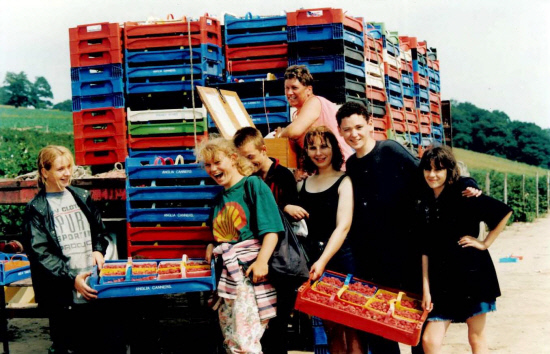 A happy group of raspberry pickers load up the pallets in August 1995