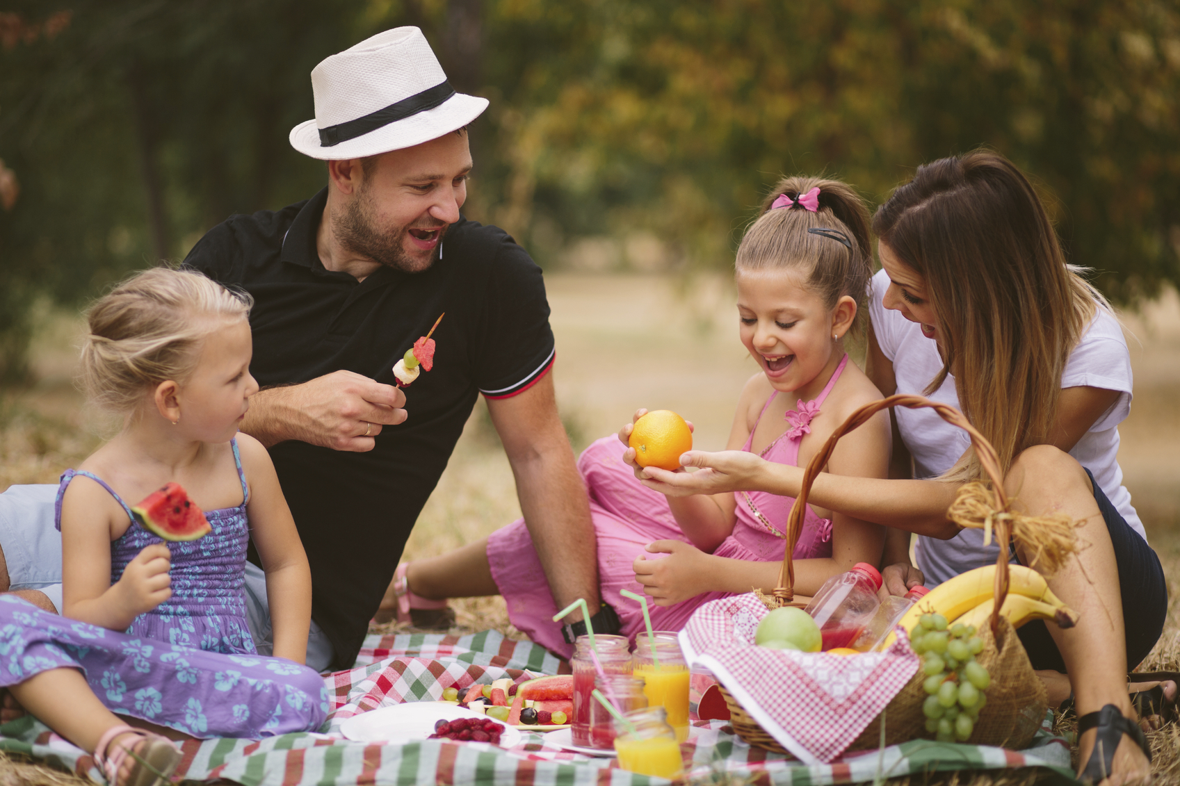 Picnics shouldn't be so perfect.