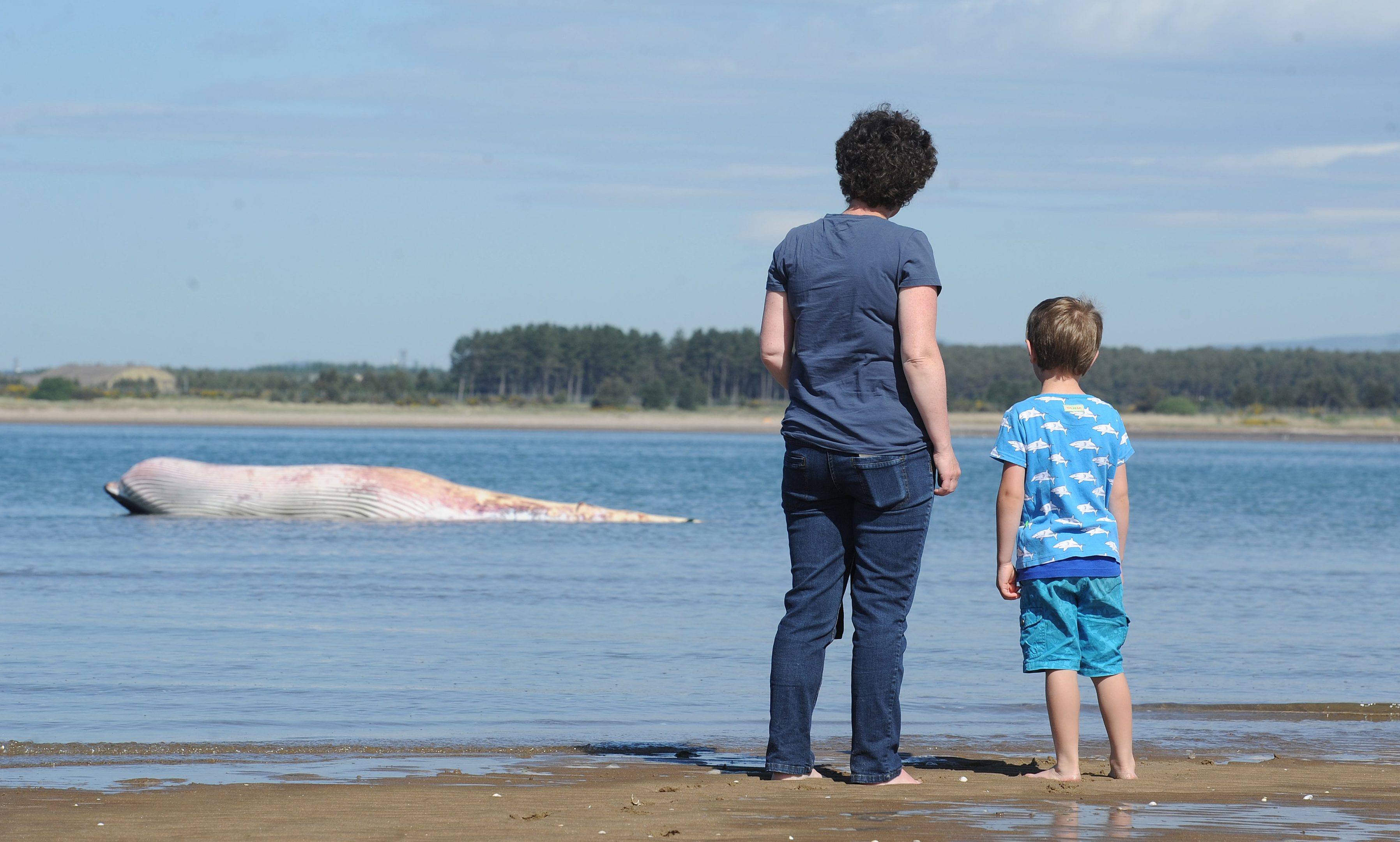 Susan and her son Francis look at the dead whale as the tide comes in.