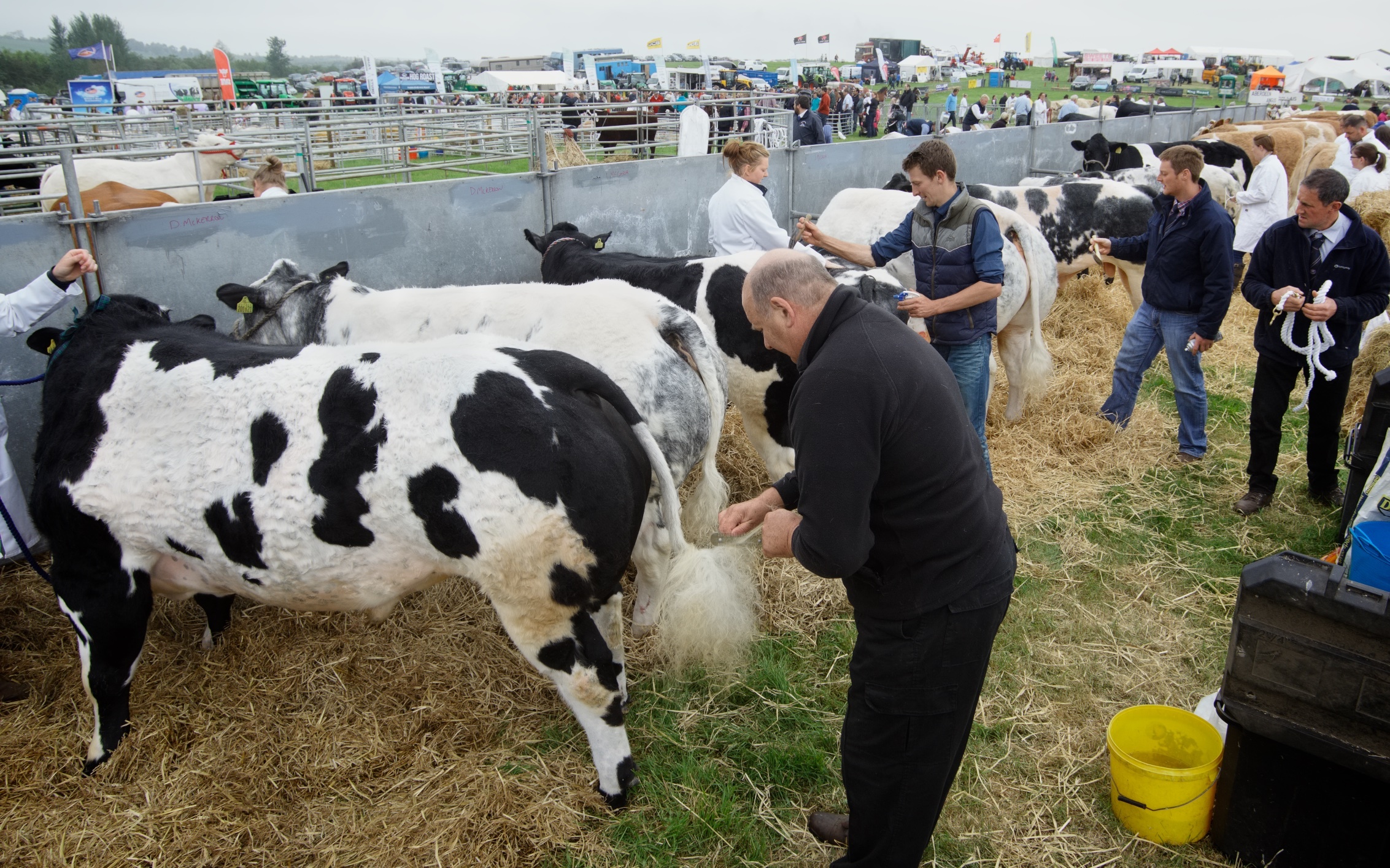Breeders went to great lengths to impress the judges