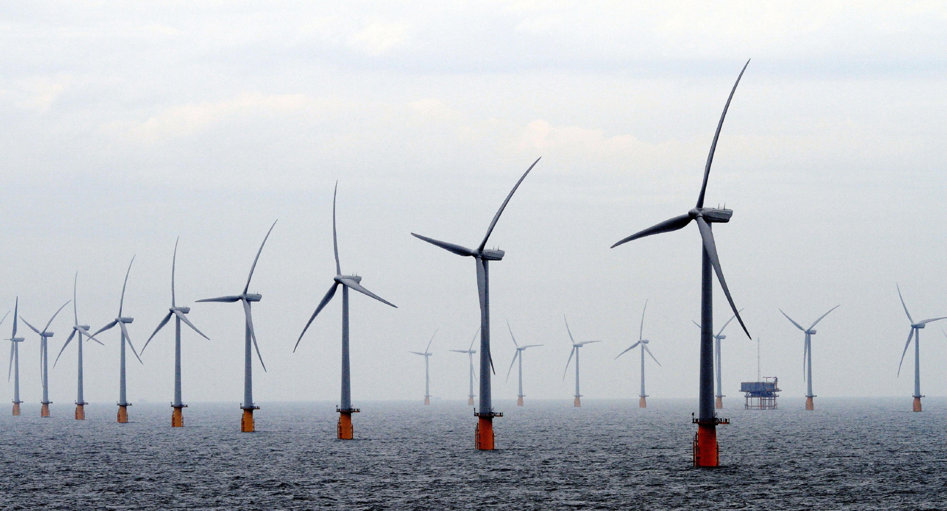 Four major wind arrays in the outer Tay and Forth estuaries are under threat