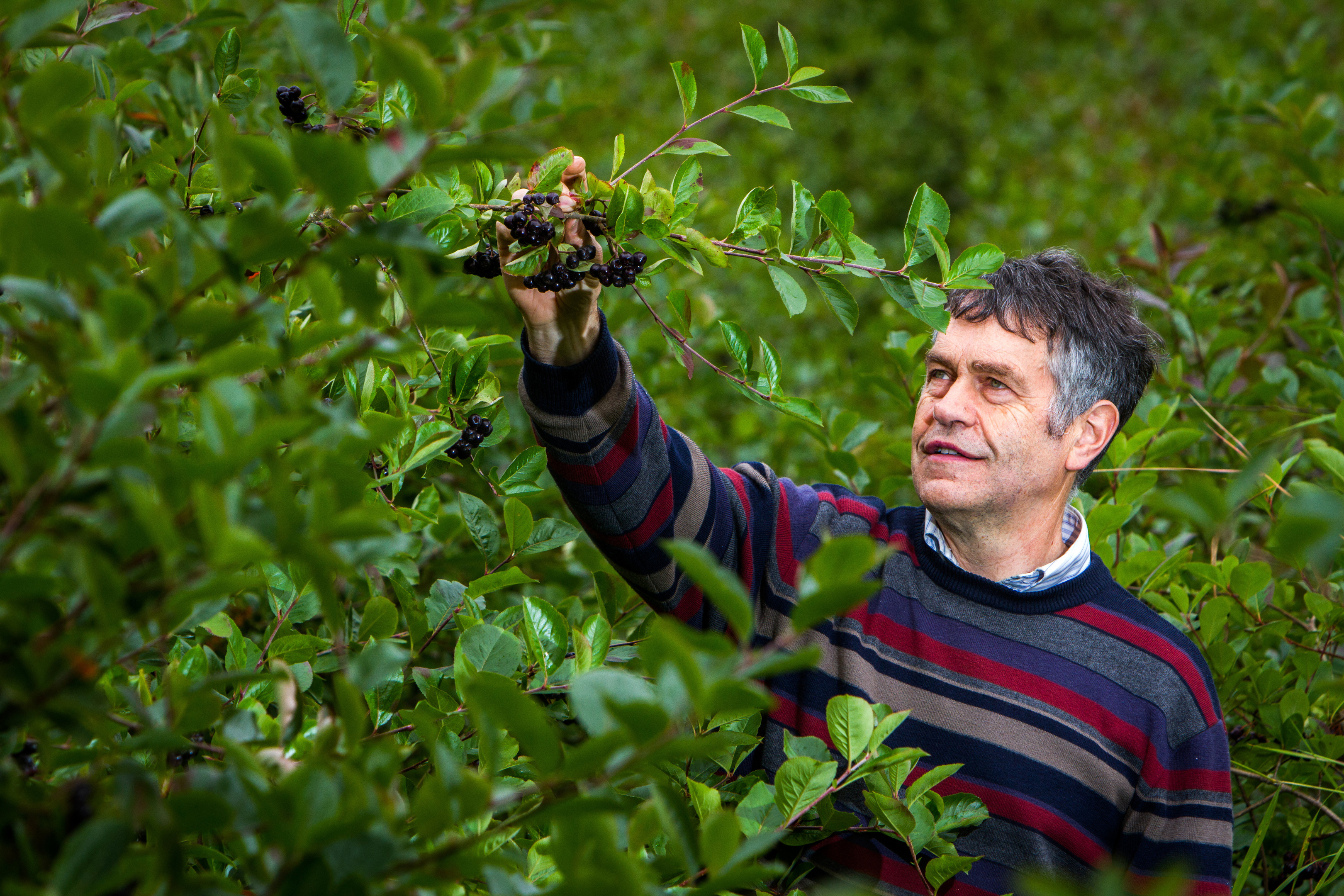 Scottish fruit farmers like Peter Thomson rely on overseas workers