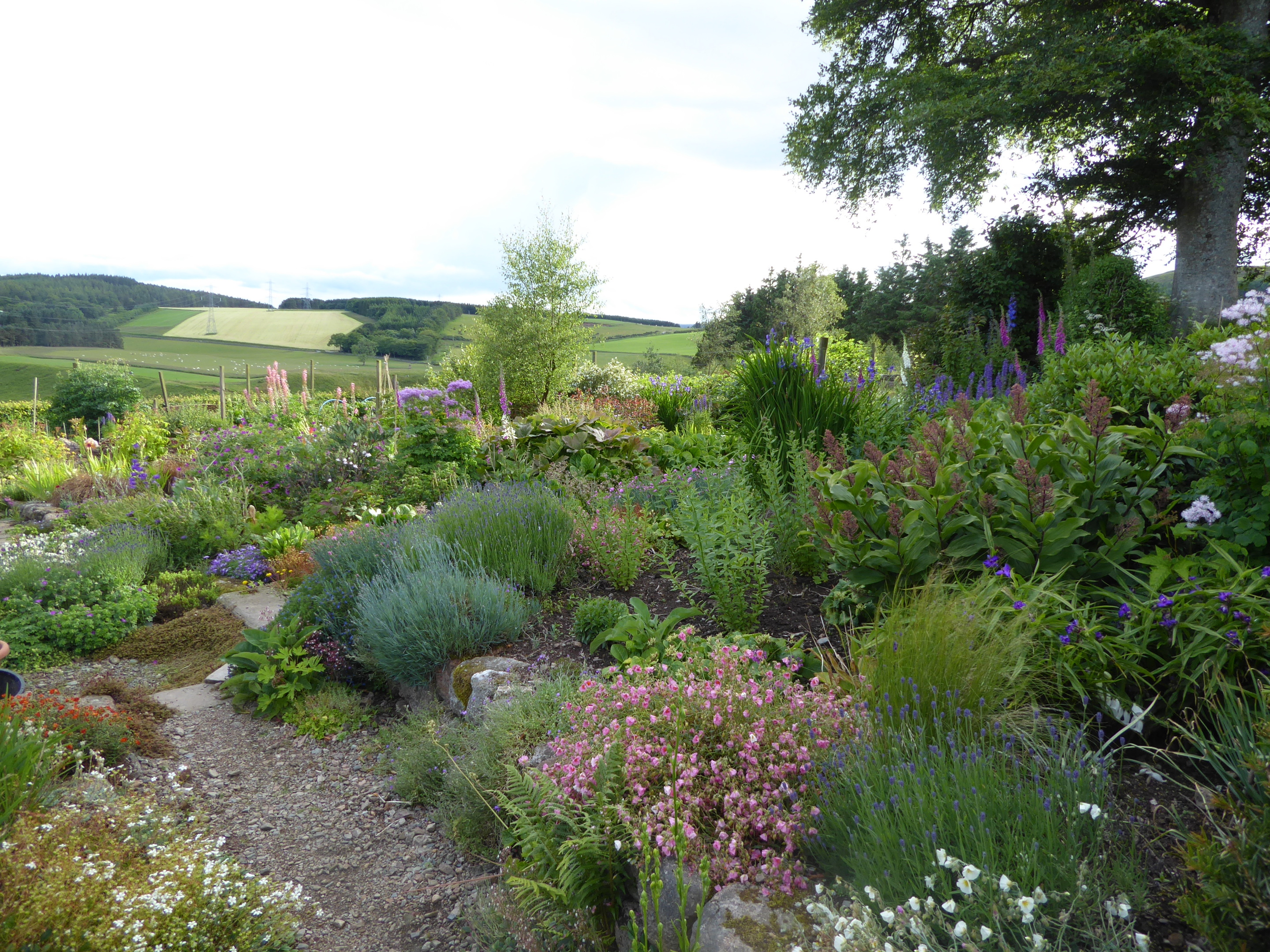 One of the gardens on display at the Auchenblae event.