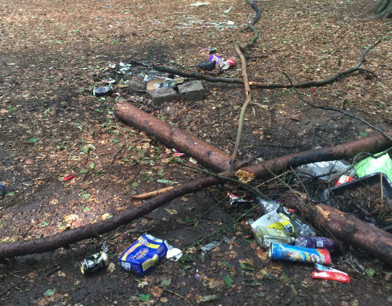 Some of the trash left in the woods