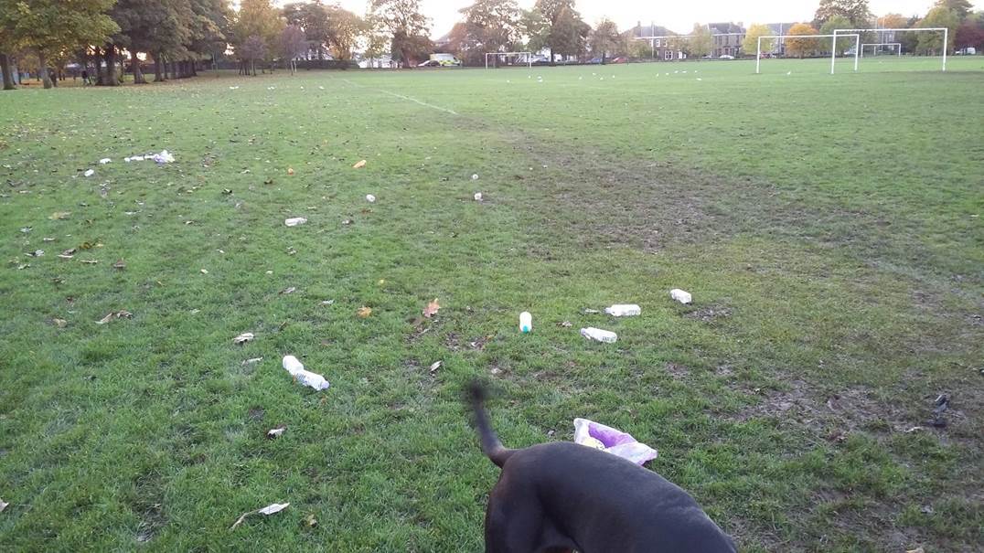 Some of the mess dog walkers claim is left by amateur football teams on a weekly basis