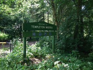 The rubbish was found in Templeton Wood