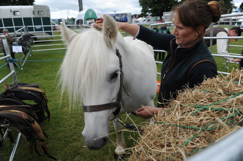 KCes_Scottish_Game_Fair_Scone_15_030716