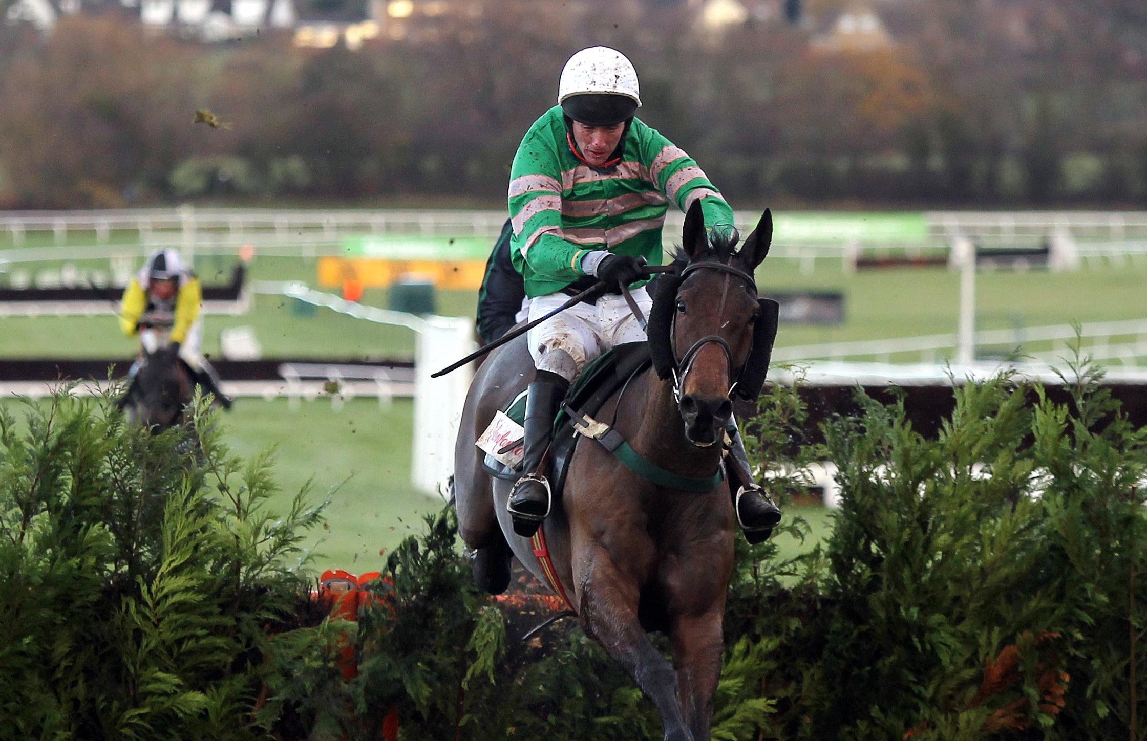 JT McNamara on Garde Champetre at Cheltenham Racecourse in 2011.