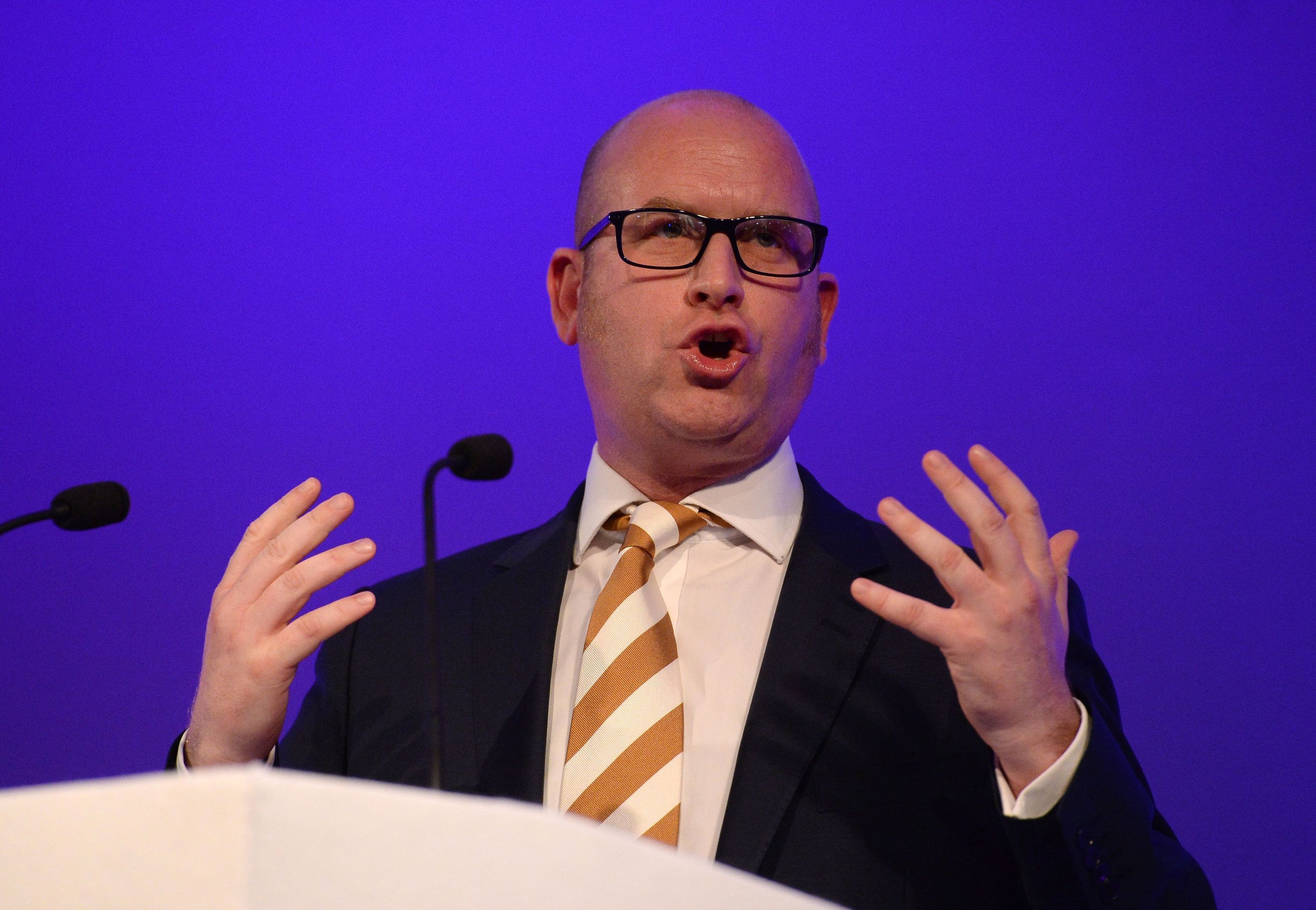 Ruth Davidson said Ukip leader Paul Nutall and his party need to "grow up".