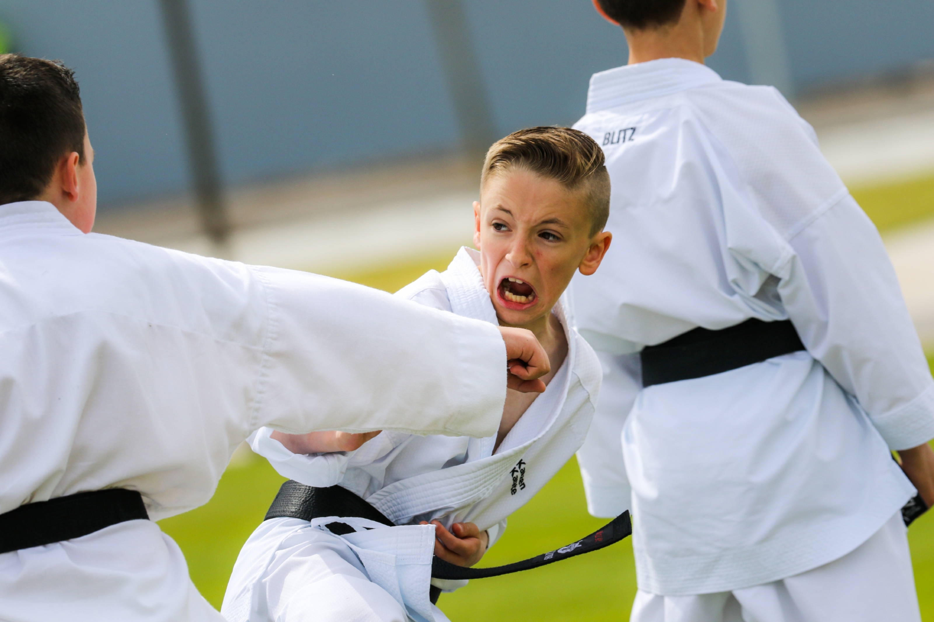 Kanzen Karate School put on a display.