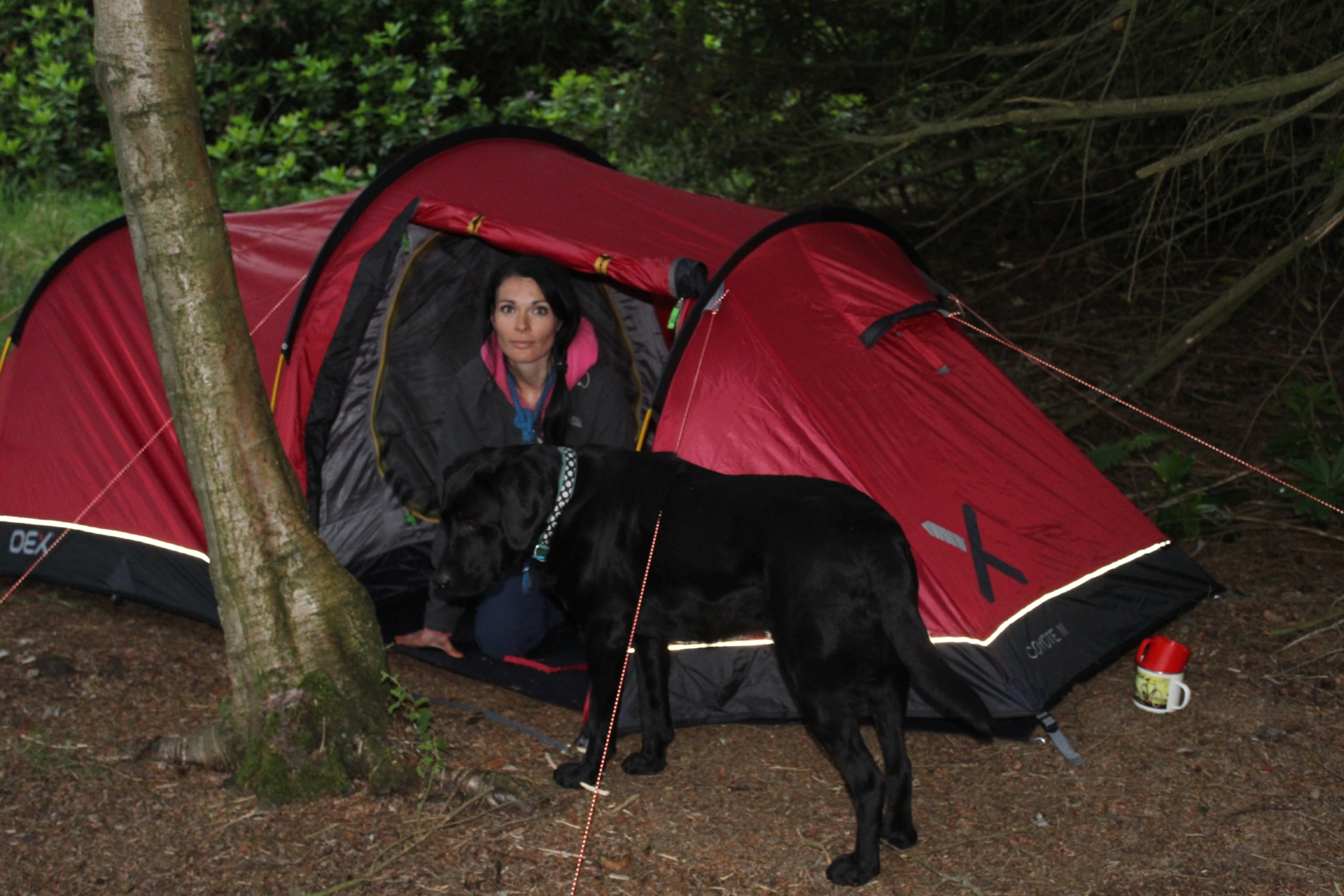 Gayle Ritchie and her dog Toby enjoy wild camping on the banks of Loch of Lintrathen.