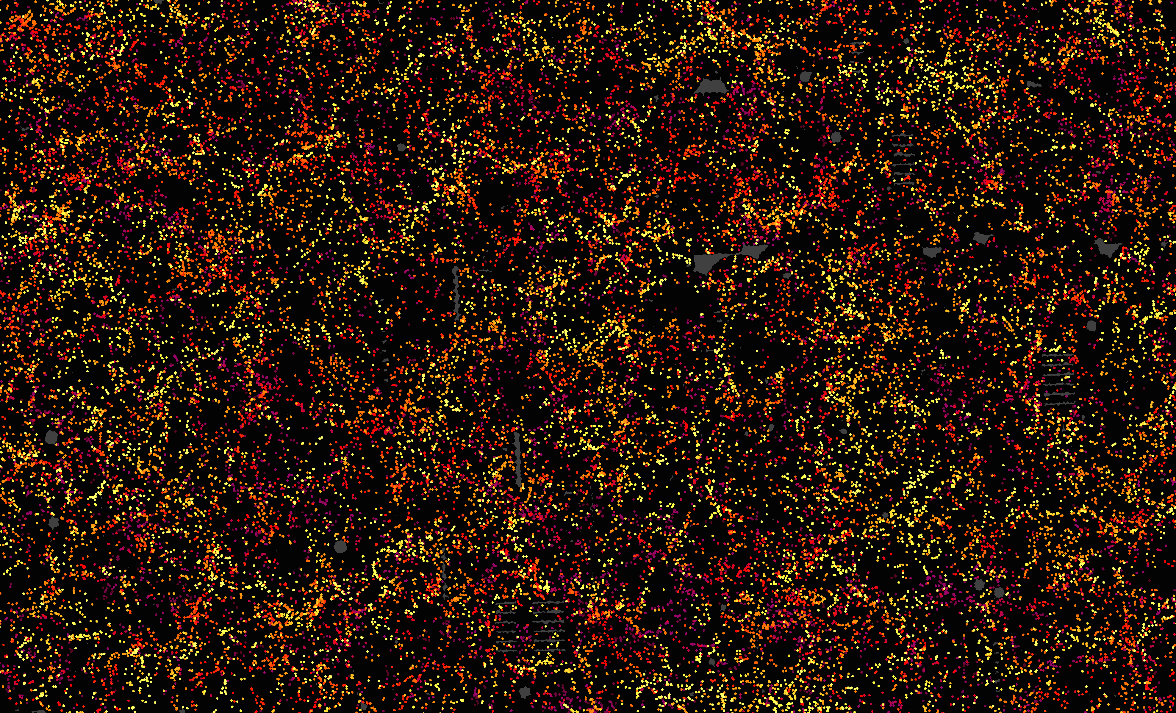 One slice through the map of the large-scale structure of the Universe.