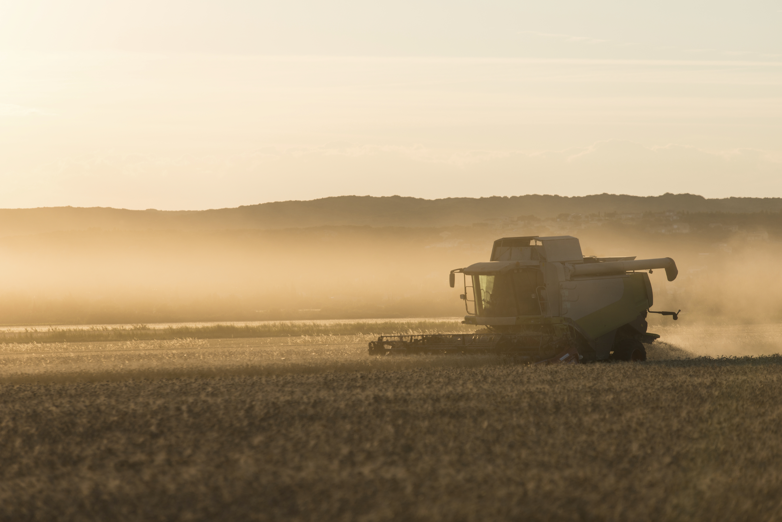 There are more than 150 trial plots to harvest