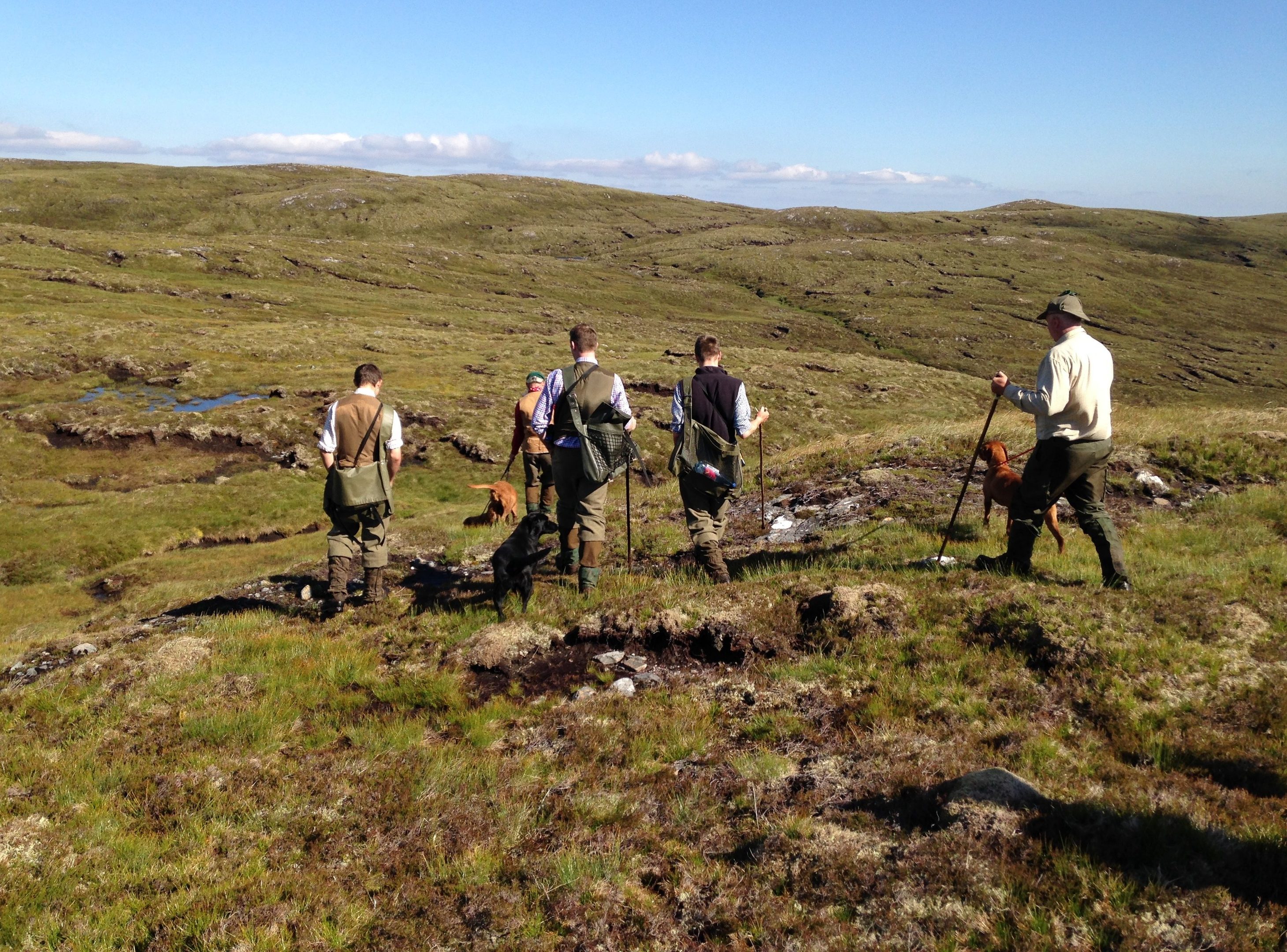 A grouse shoot.