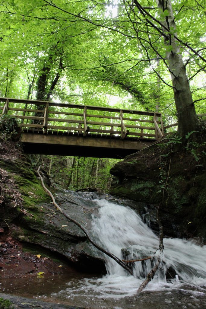 1 - Footbridge and falls in Abernethy Glen - James Carron, Take a Hike