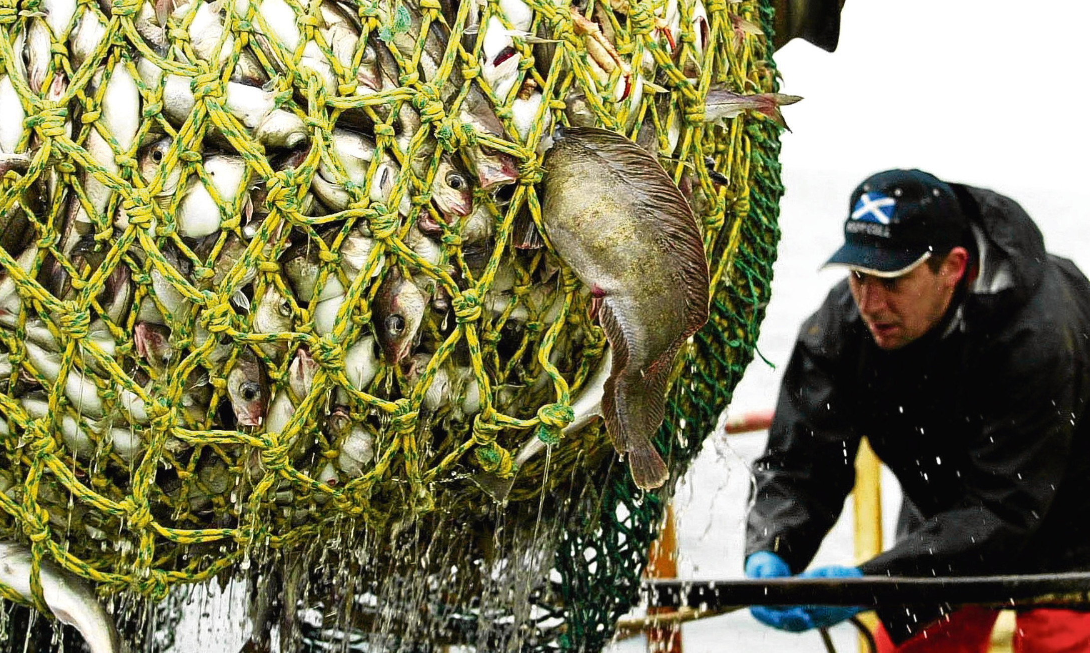 The North Sea fishing industry could be one of several to benefit from the Brexit vote, if politicians are wise and imaginative enough to take advantage of it.