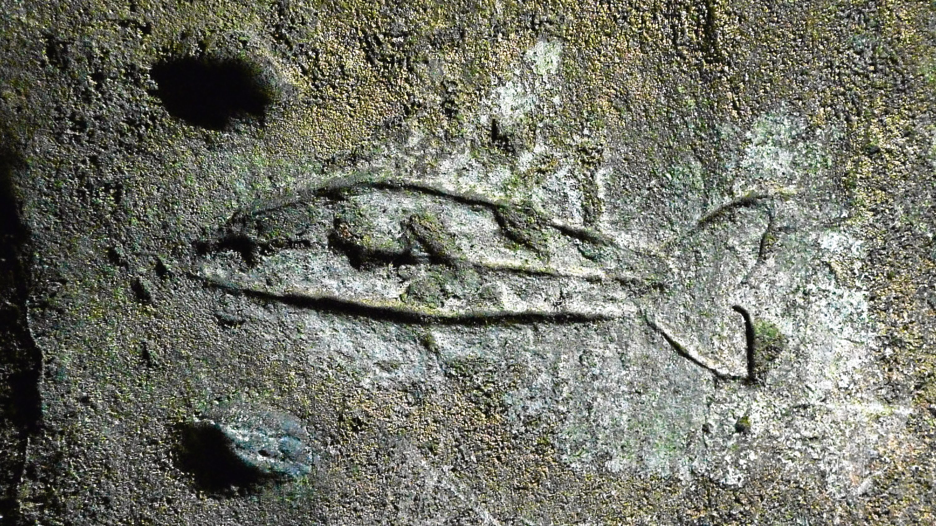 One of the ancient carvings in Wemyss Caves