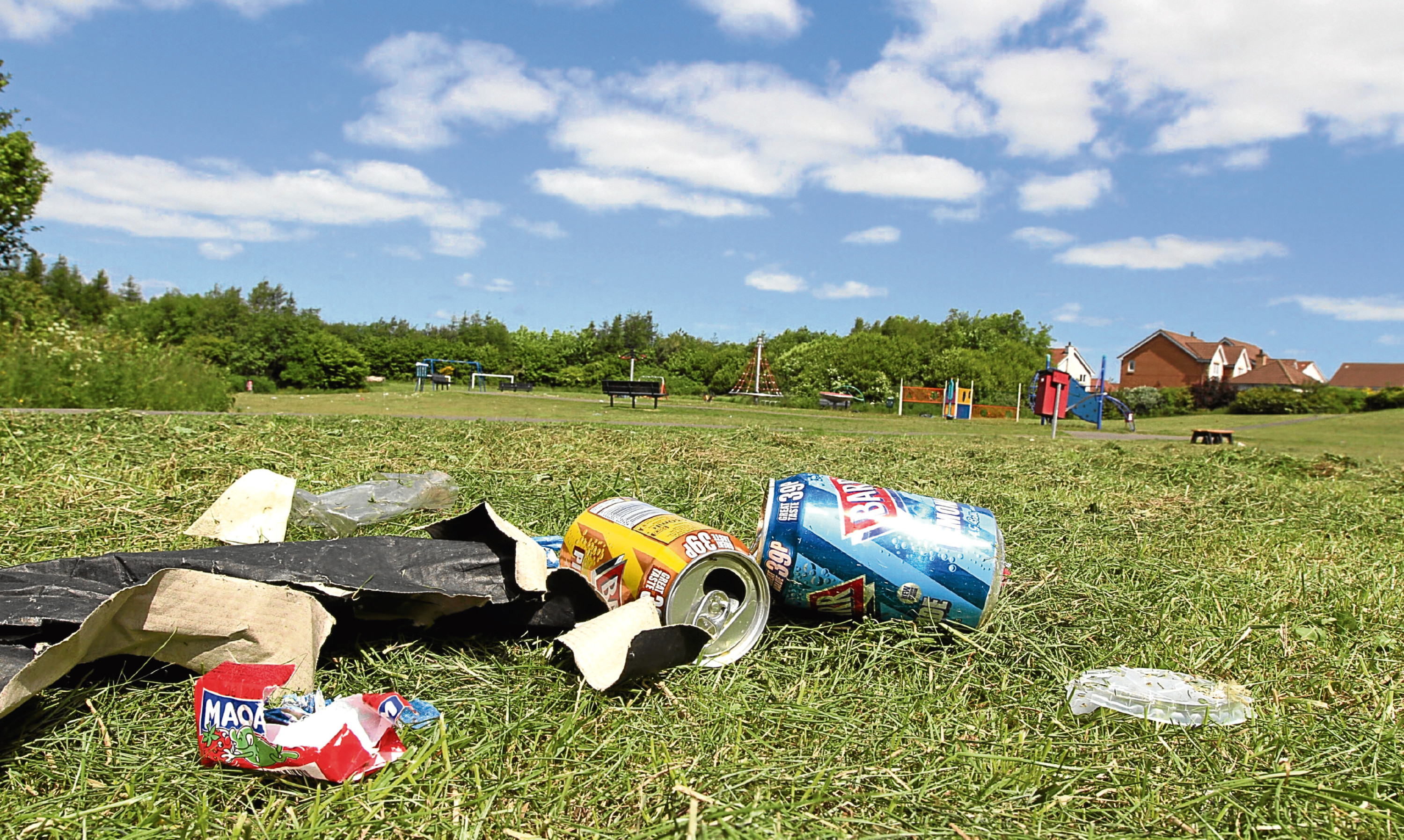 Litterbugs can be the scourge of communities