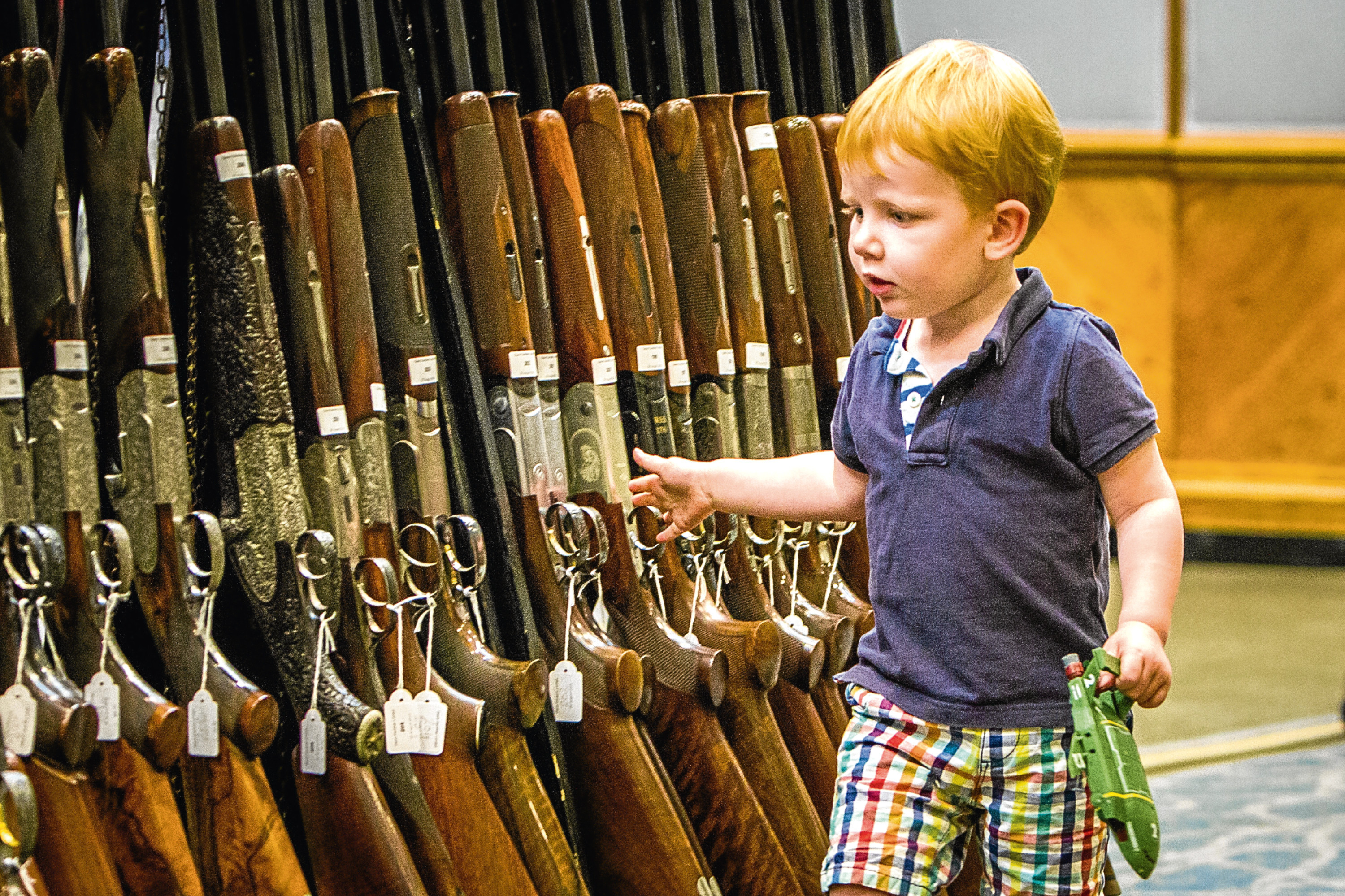 Courier News - Perth - Richard Burdge Story. Gavin Gardiner Ltd preparing for their annual auction of Modern & Vintage Sporting Guns. Picture shows Gavin's son William (aged 2), having a look around. 
Gleneagles Hotel, Auchterarder. Friday 26th August 2016.