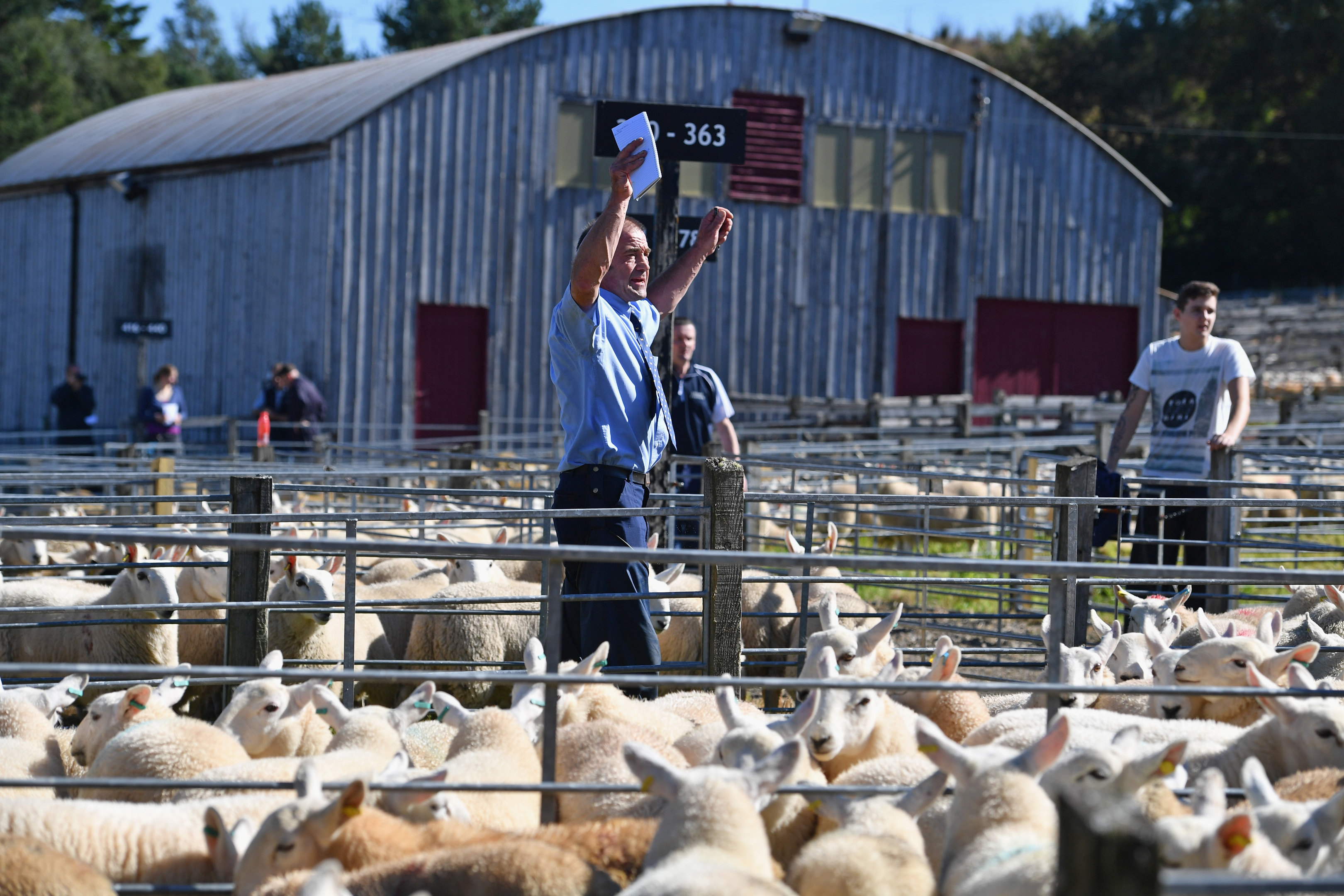 The sheepmeat industry is benefitting from the fall in sterling