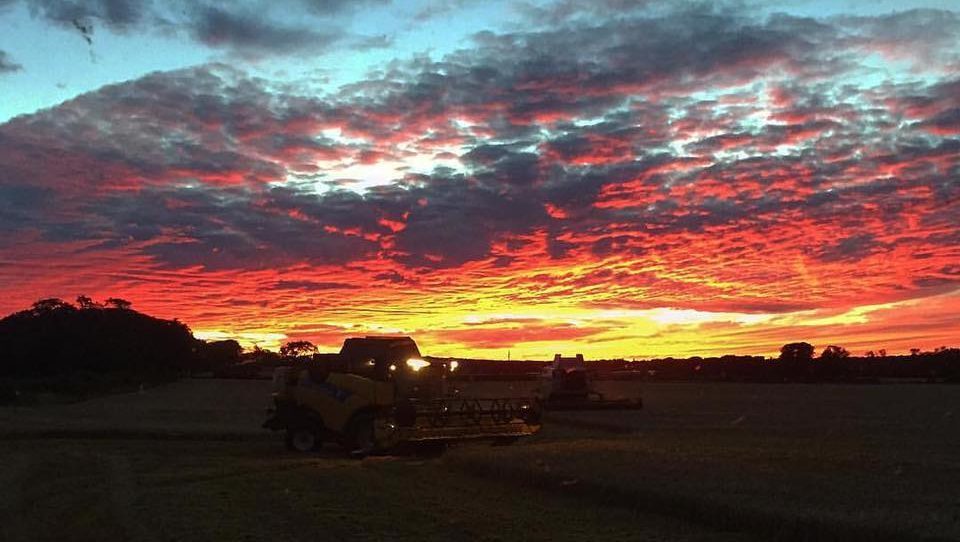 The harvest takes place under an unforgettable sky in this photo from Adam Donnachie near Carnoustie.