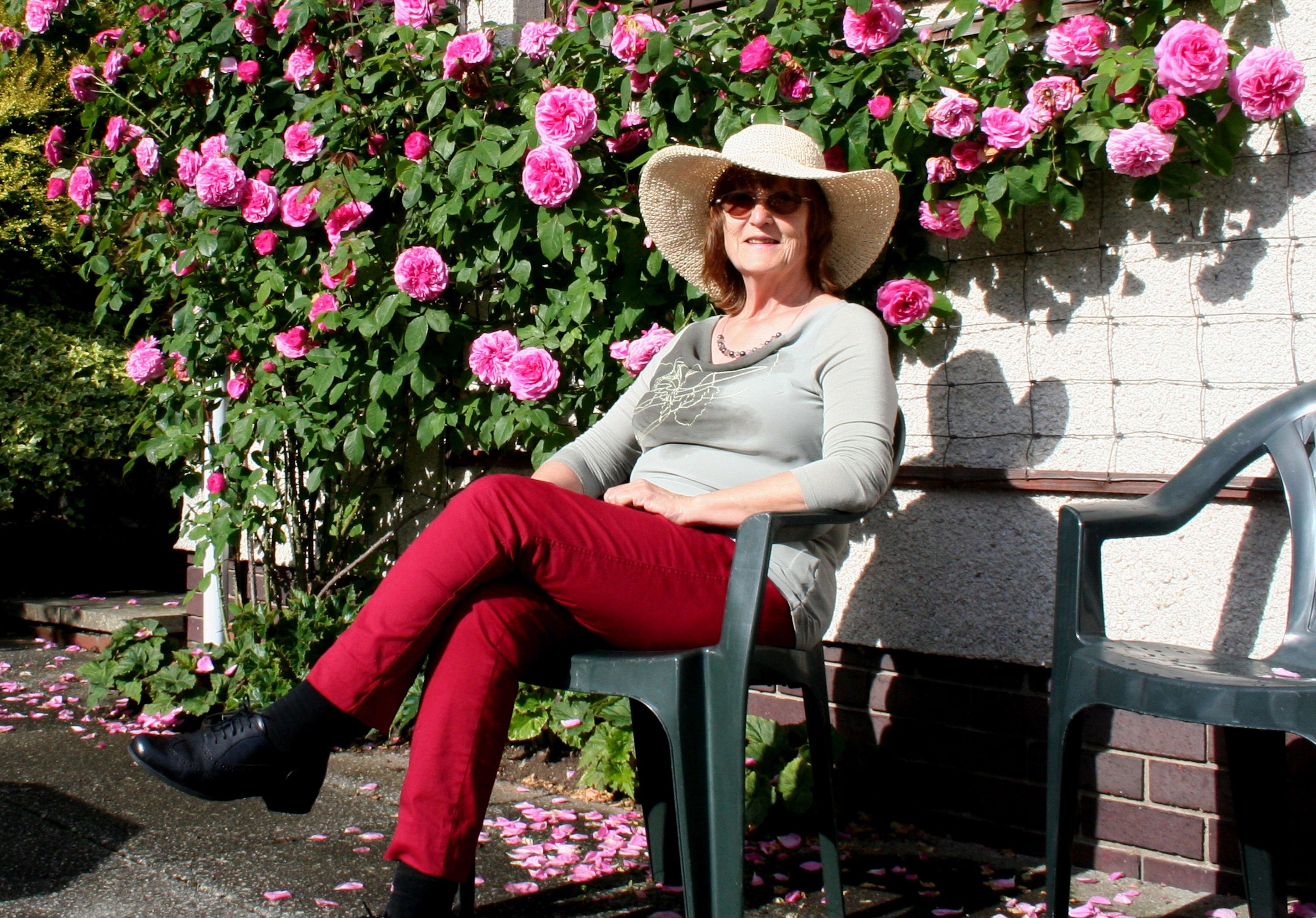 Anna has a rest from harvesting alongside rose Gertrude Jekyll
