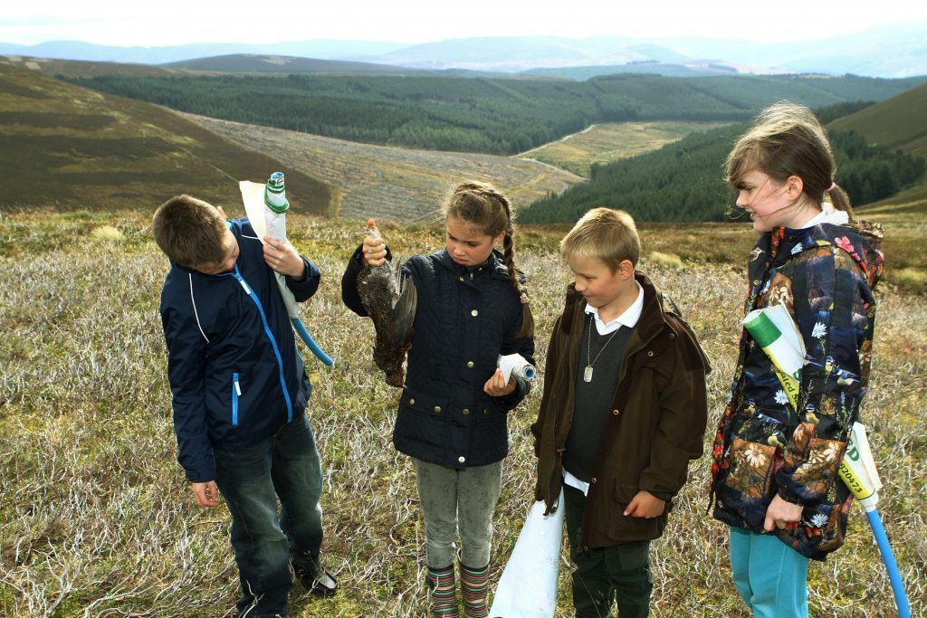 The pupils looking at one of the grouse.