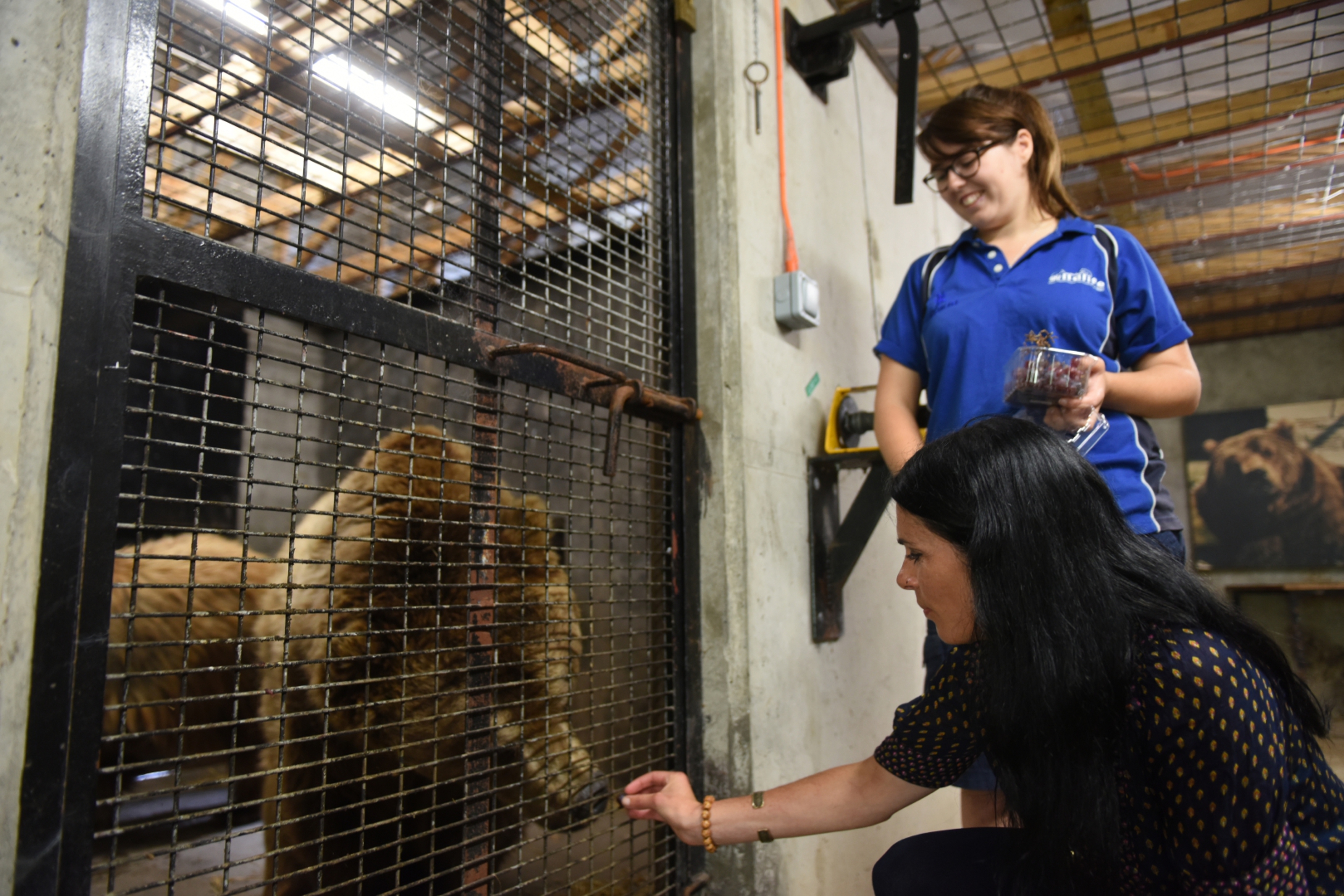 Gayle feeds grapes to Comet as keeper Lori McFadyen watches.