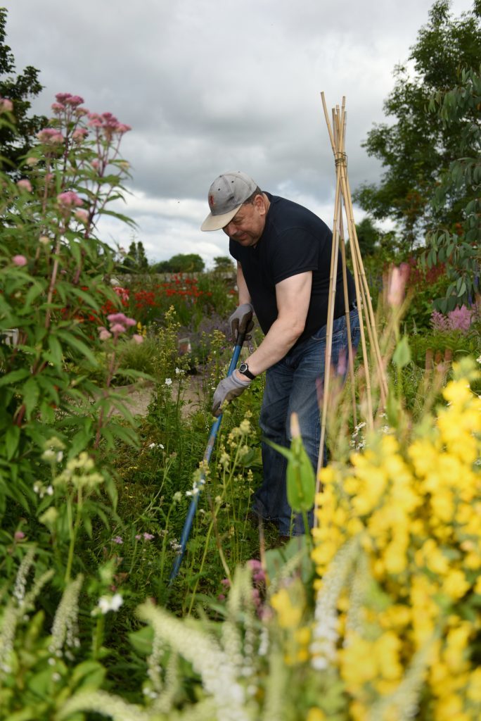 The Greenbuds group is one of many which use the community garden at Ninewells Hospital in Dundee.