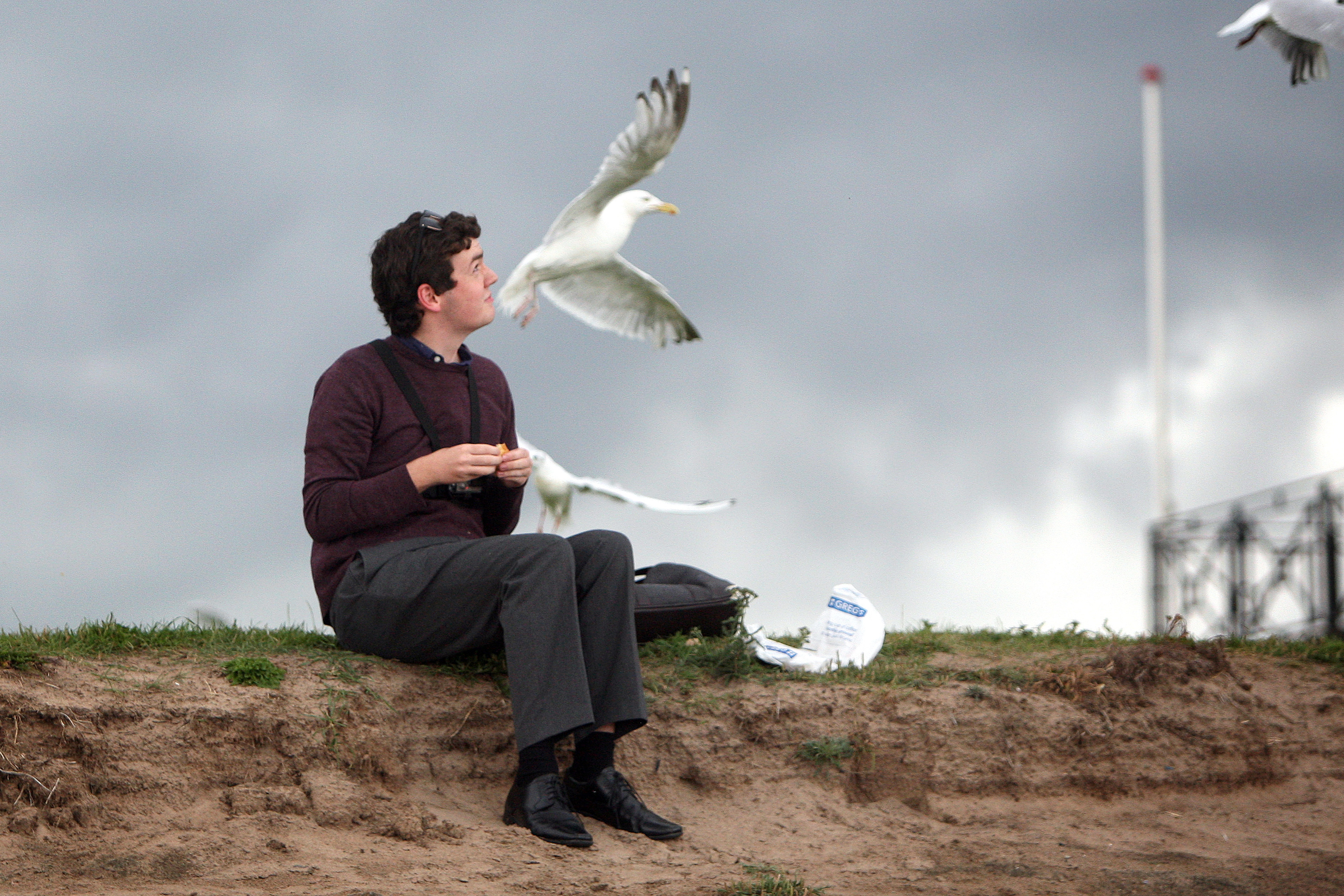 Dundee reporter Ciaran Sneddon enjoying lunch in Broughty Ferry while gulls circle overhead.