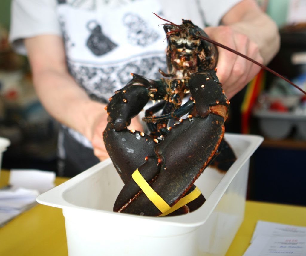 Live lobster for sale at the Harbour Cafe.