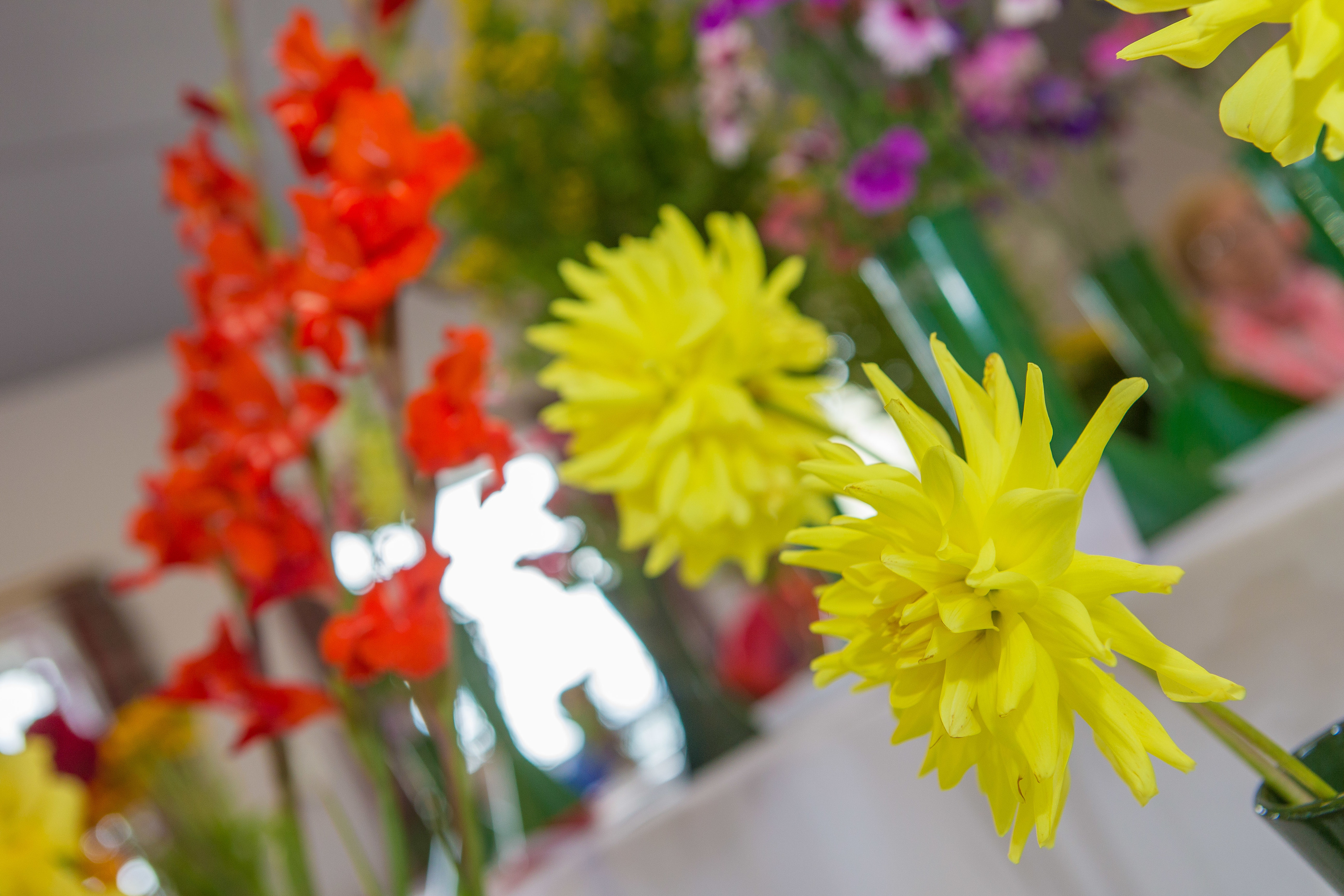 Kingsbarns and Letham hosted their annual flower shows