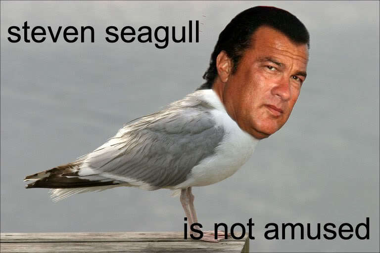 StevenSeagull