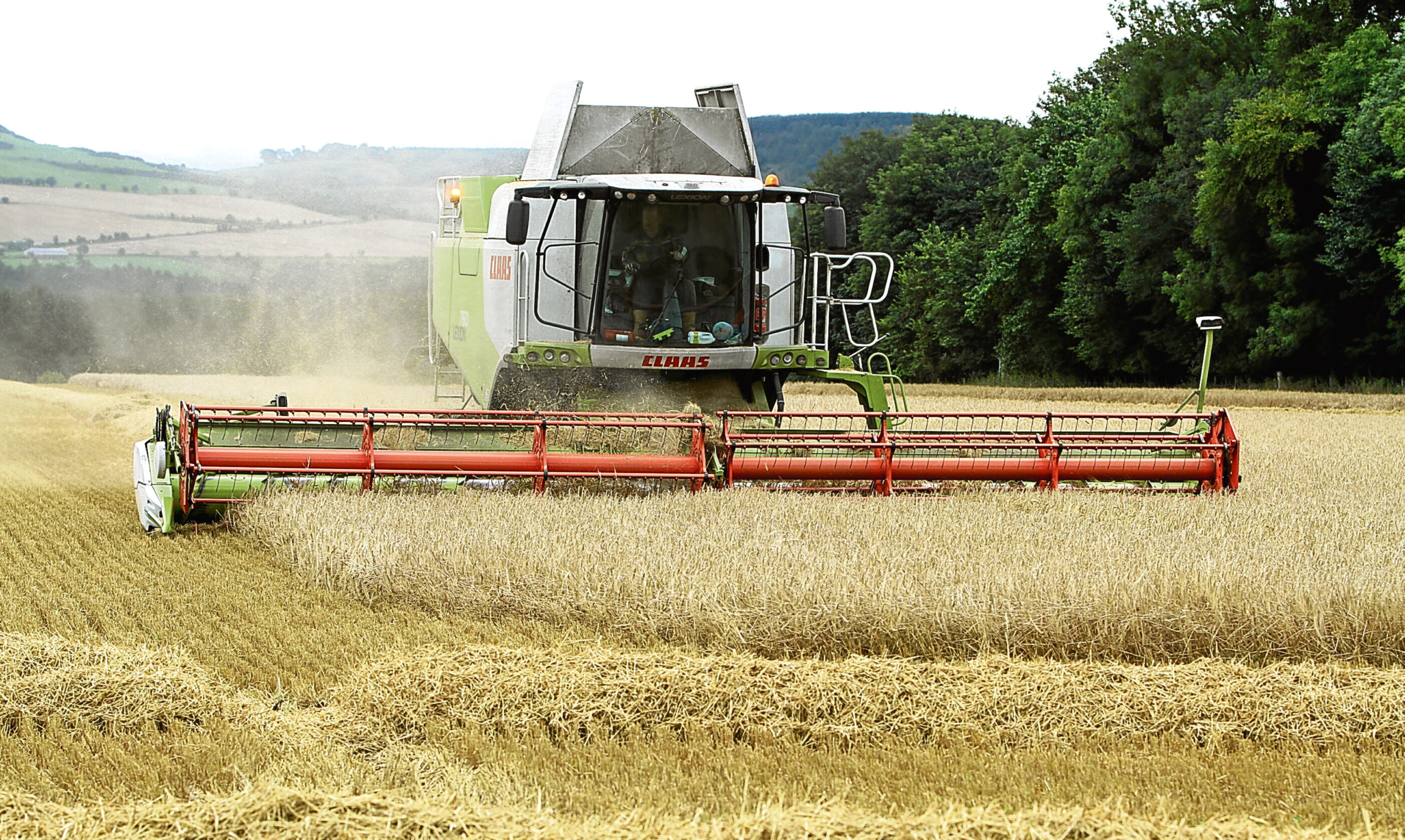 A farmer bringing in the harvest.