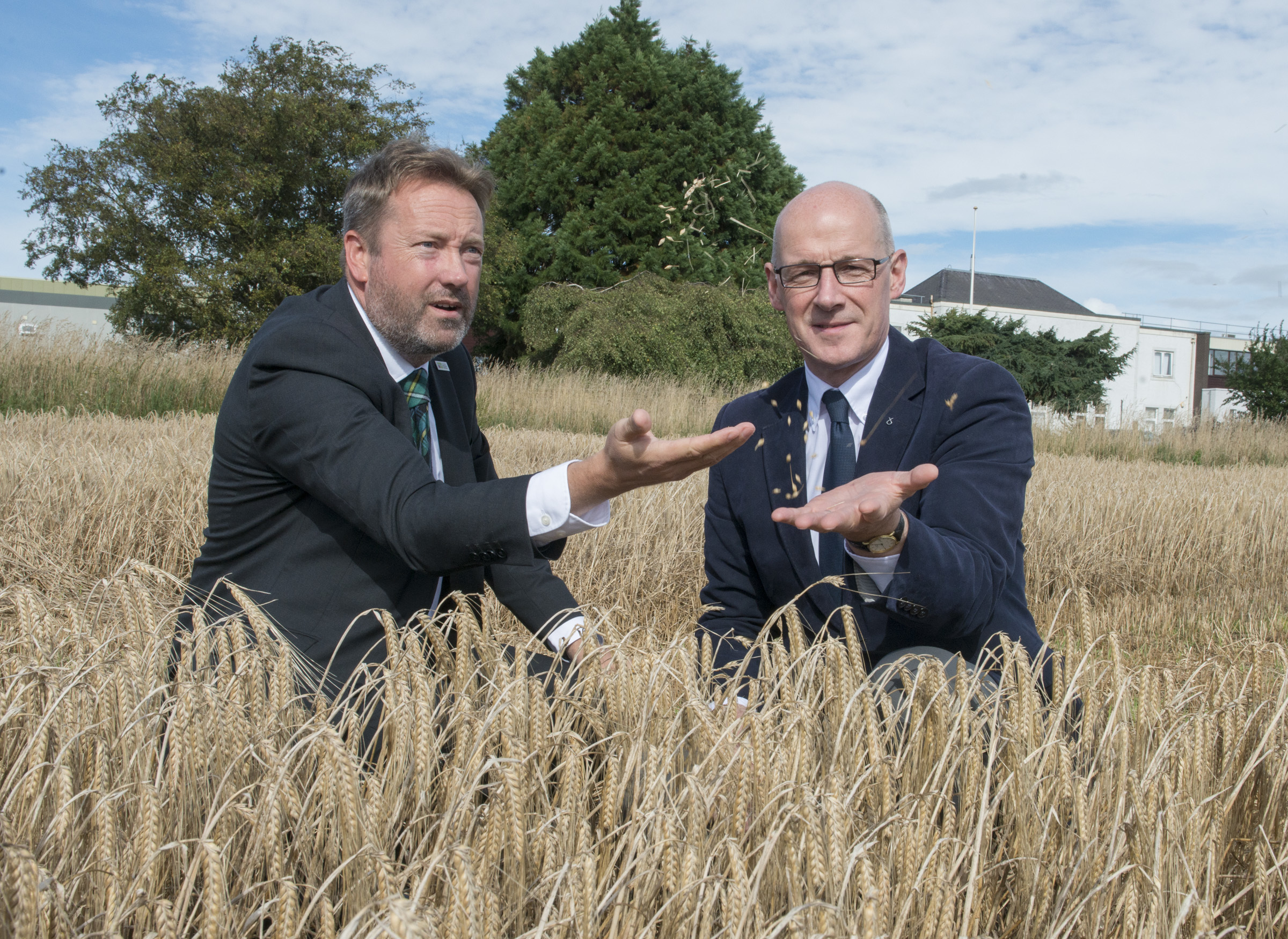 The barley hub project is predicted to create 3500 jobs in barley-related industries