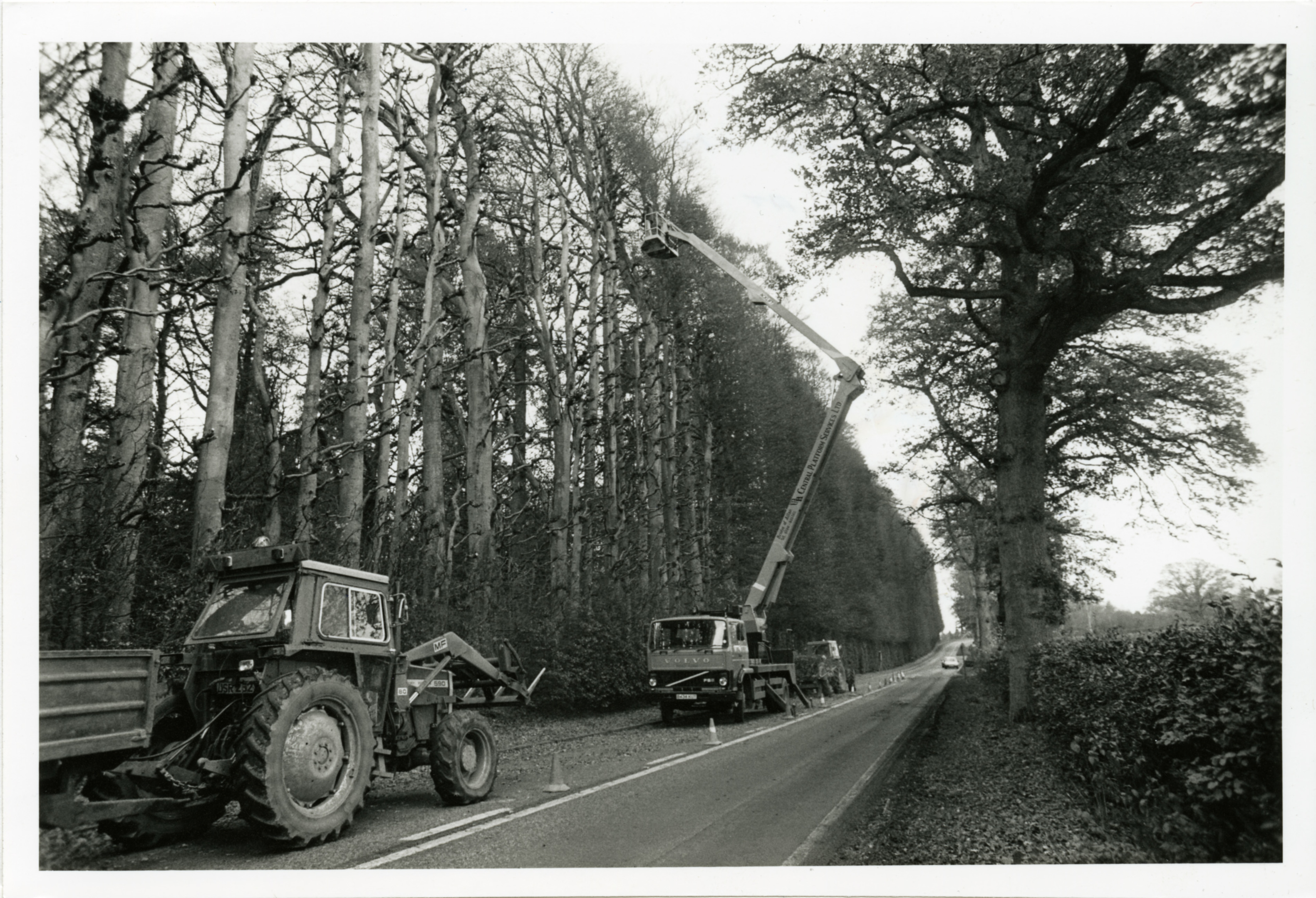 Trimming the 110ft high beech hedge at Meikleour.

H307 1988-10-XX Trimming Meikleour Hedge (C)DCT