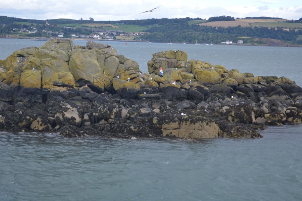 A small island close to Inchcolm has some unusual inhabitants - garden gnomes large and small!
