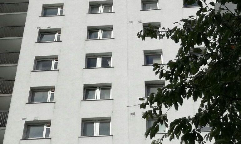 The 31-year-old woman died after falling from a 14th floor window.