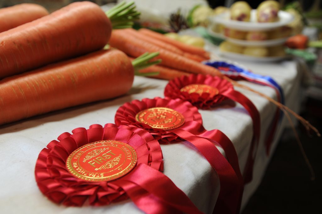 Some of the rosettes Alistair Gray has won for his vegetables.