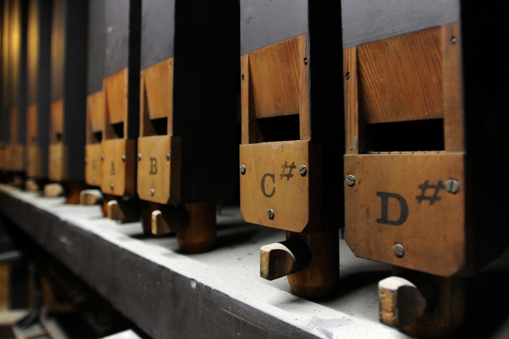 Inside the organ.