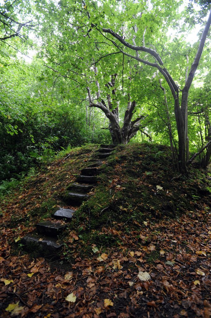 KCes_Historic_Trees_Finlarig_Killin_02_130916