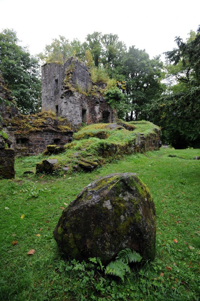 KCes_Historic_Trees_Finlarig_Killin_22_130916