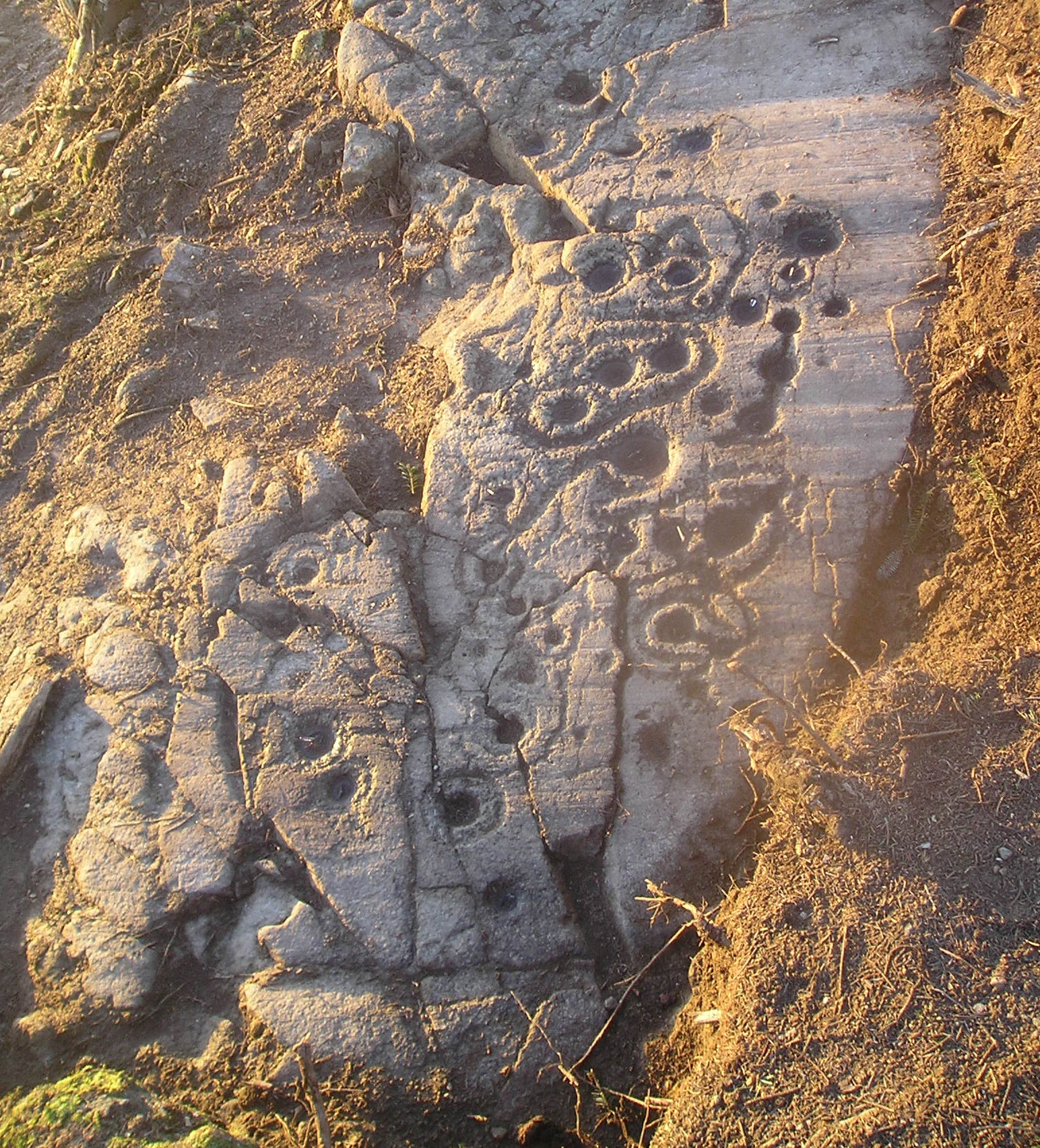 Discovered in Lurgan, near Aberfeldy