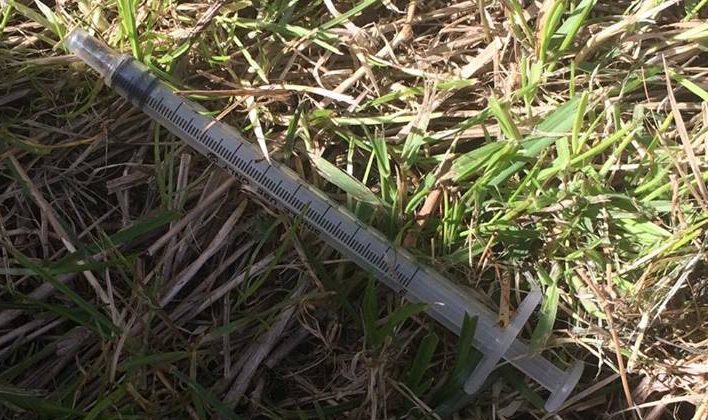 The needle was found in the shared back garden of a tenement block on Arthurstone Terrace.