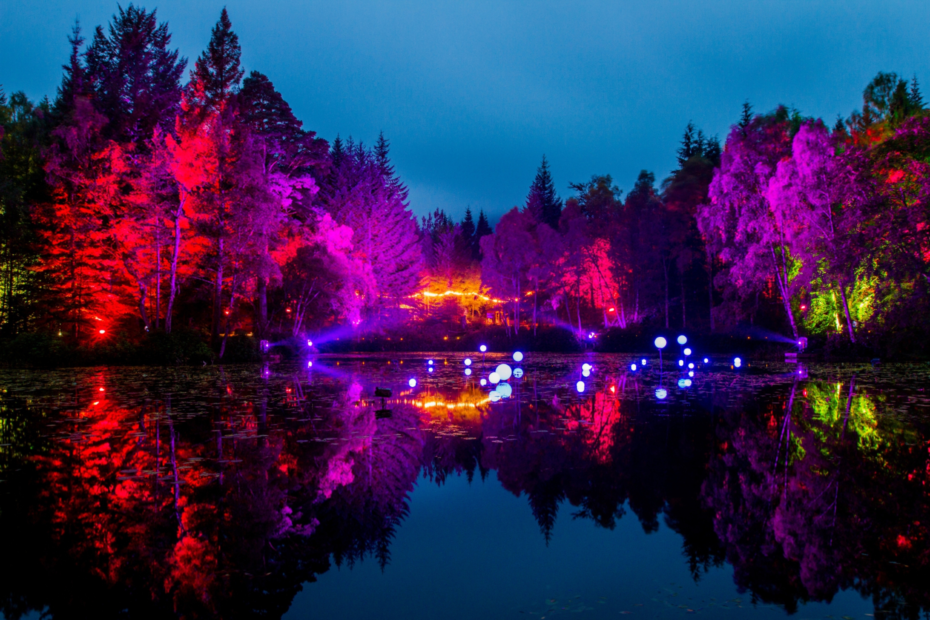 Steve MacDougall, Courier, Enchanted Forest, Faskally Woods, by Pitlochry. Scenes from the preview night. Pictured, view of the lit trees reflected in the water.
