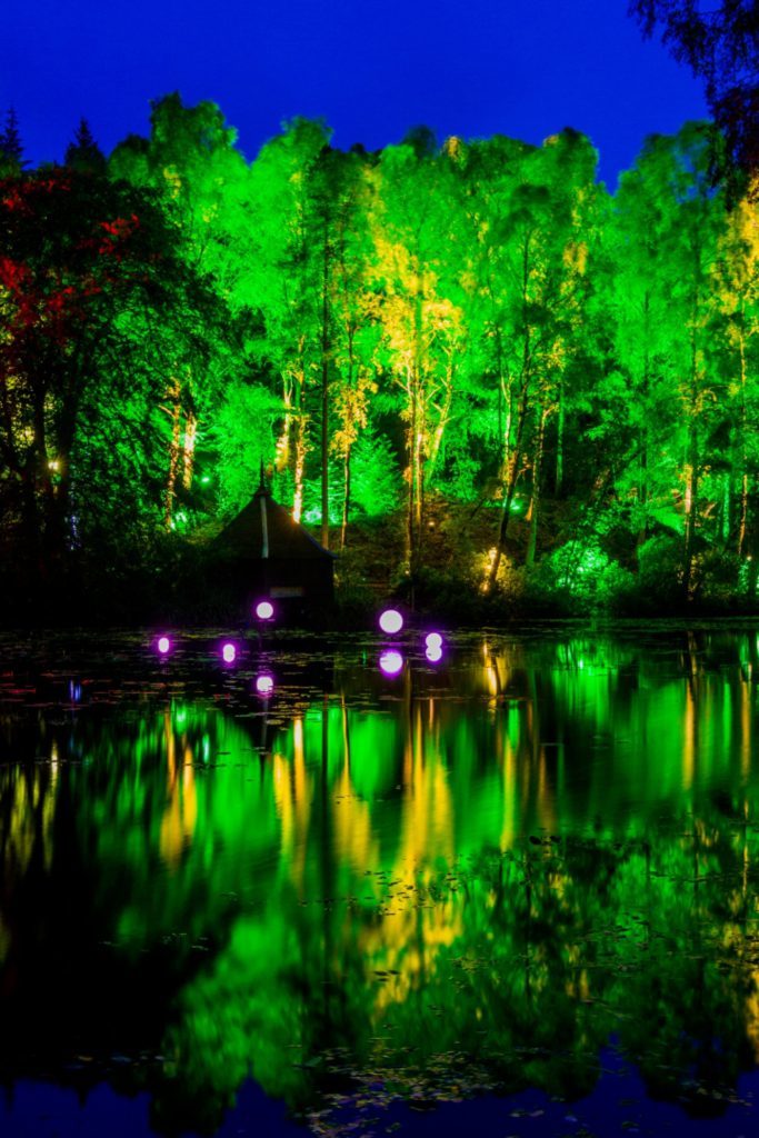 Lit trees reflected in the water.